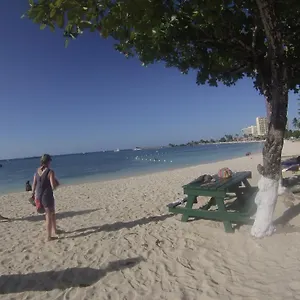 Reggae Hostel Ocho Rios